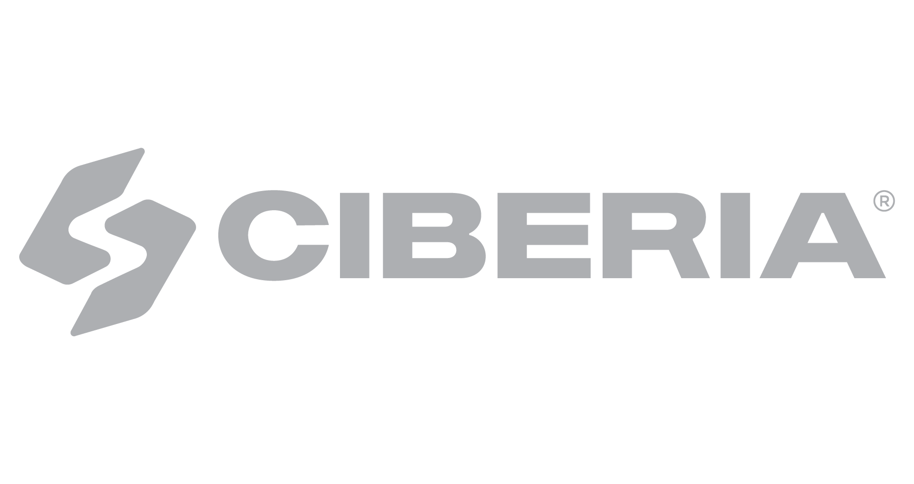 Ciberia_Reducción logo principal Mist grey